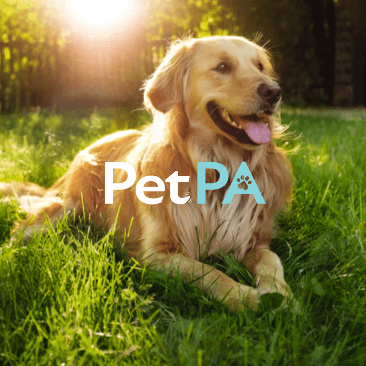 pet-pa